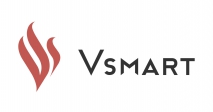 VinSmart